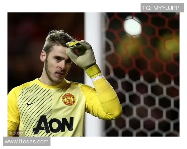 德赫亚神勇表现助曼联战胜埃弗顿决胜时刻展现门将风采