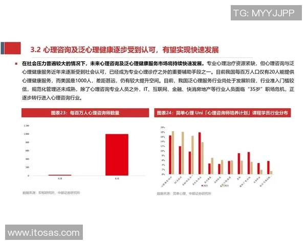 维特塞尔在新赛季的表现分析与未来发展潜力探讨