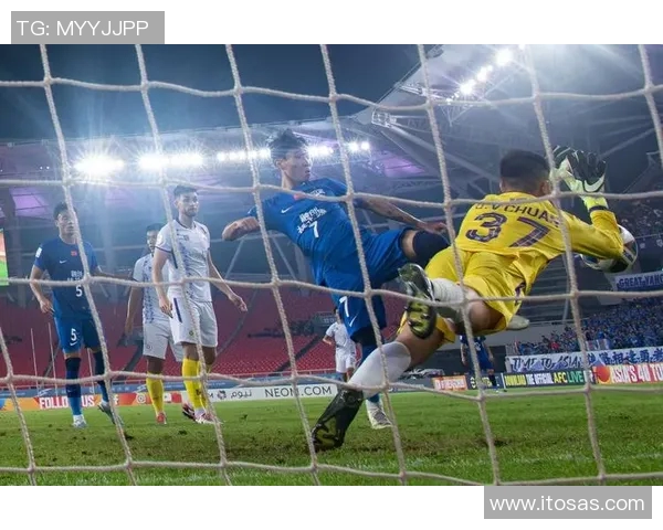 免费观看体育赛事在线直播精彩足球比赛尽在掌握之中