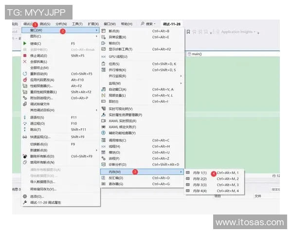 深入浅出掌握vs自拉放大技巧的全面教程与实用案例分析