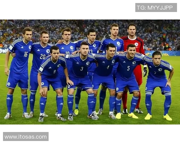 北爱尔兰对阵波黑赛事分析及胜负推荐详解 北爱尔兰对阵波黑赛事分析及胜负推荐详解